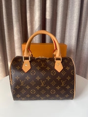 Louis Vuitton Medium Speedy bag
