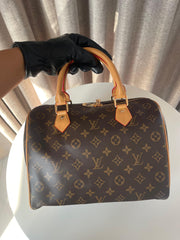 Louis Vuitton Large Speedy bag