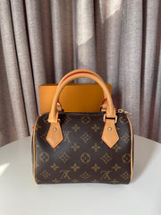 Louis Vuitton Small Speedy bag