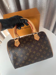 Louis Vuitton Medium Speedy bag