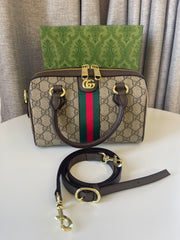 Gucci ophidia speedy bag
