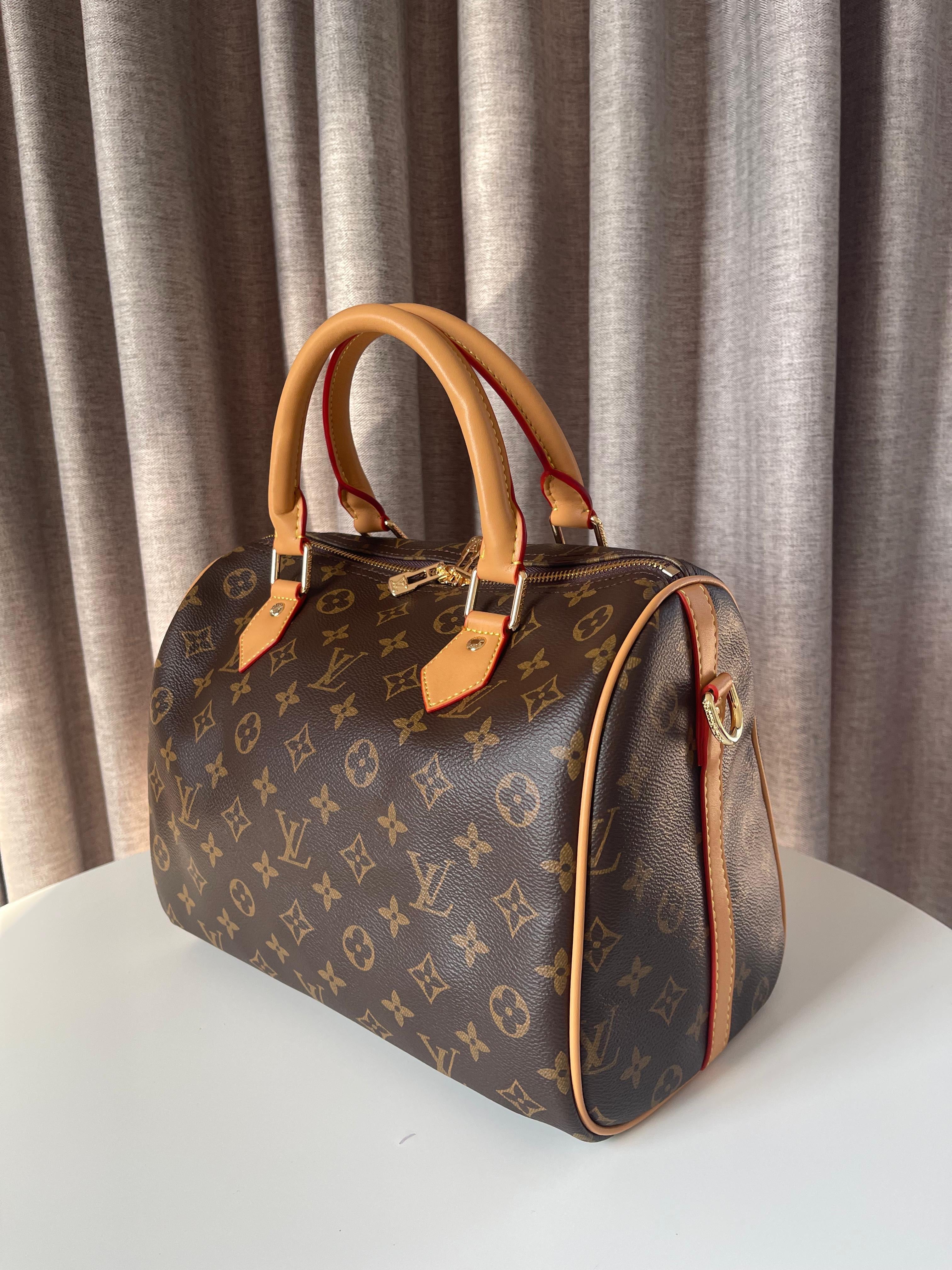 Louis Vuitton Large Speedy bag