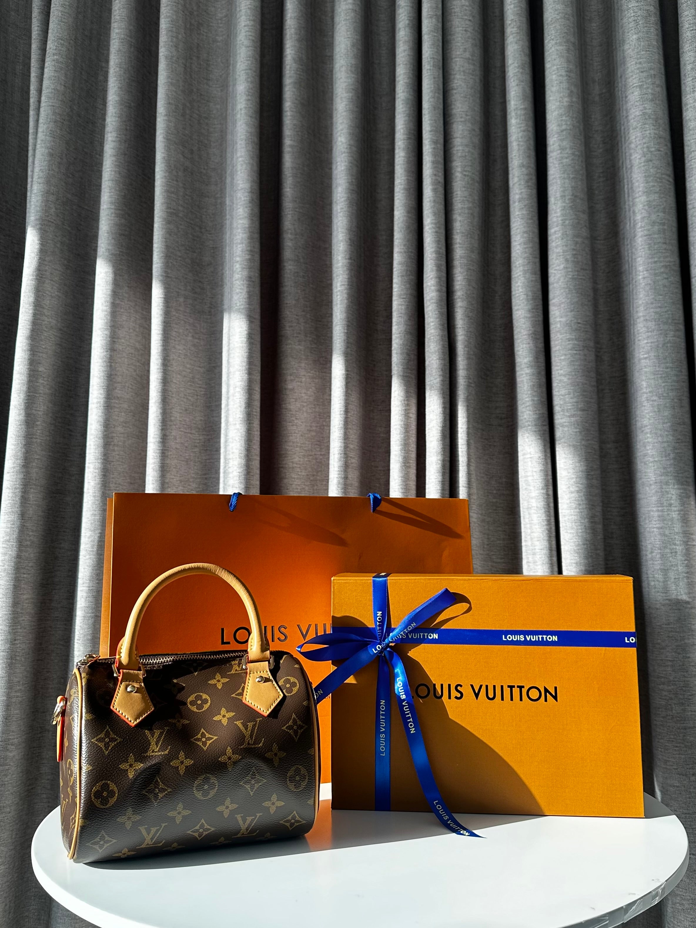 Louis Vuitton Speedy Small bag