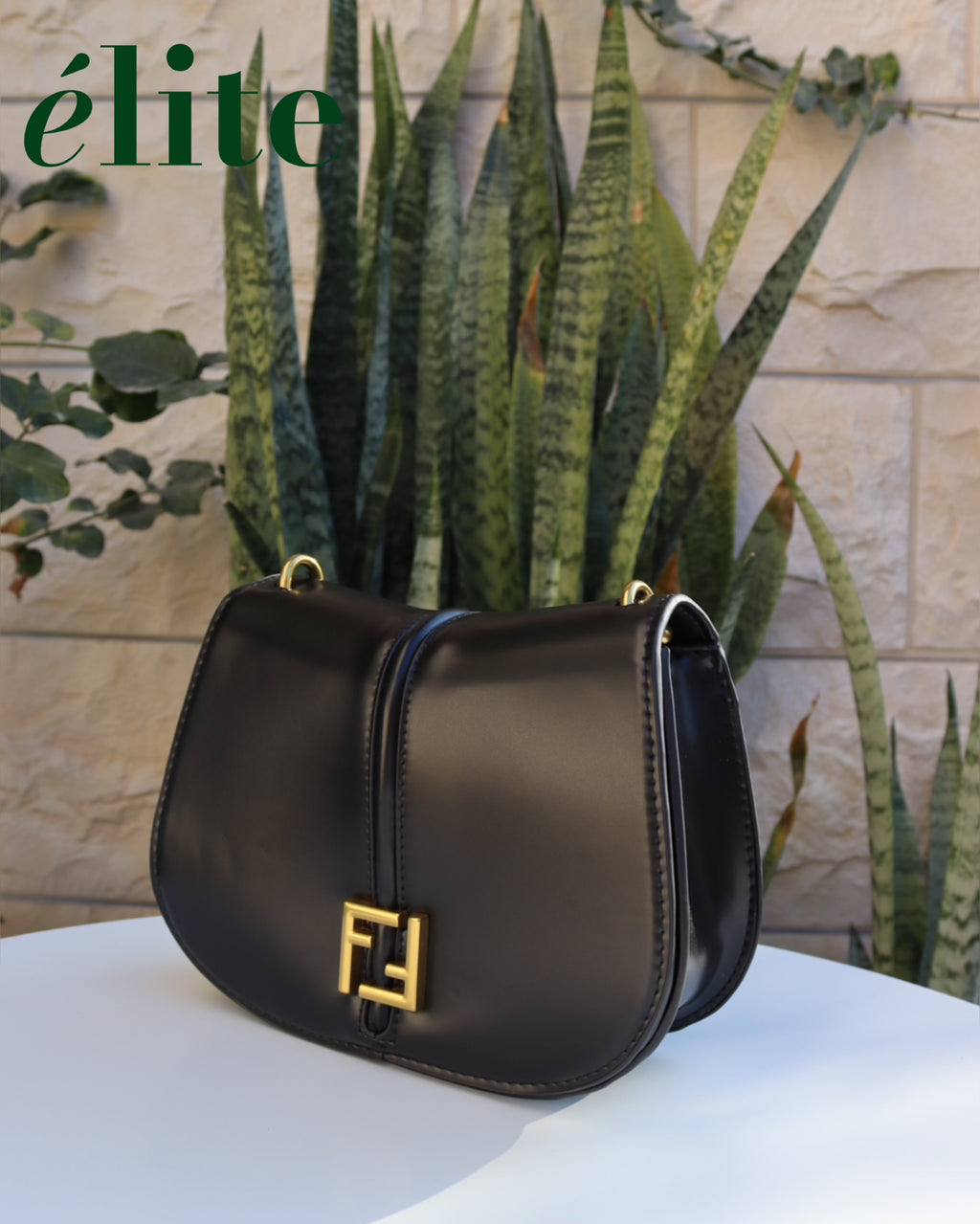 Fendi Small C’mon bag