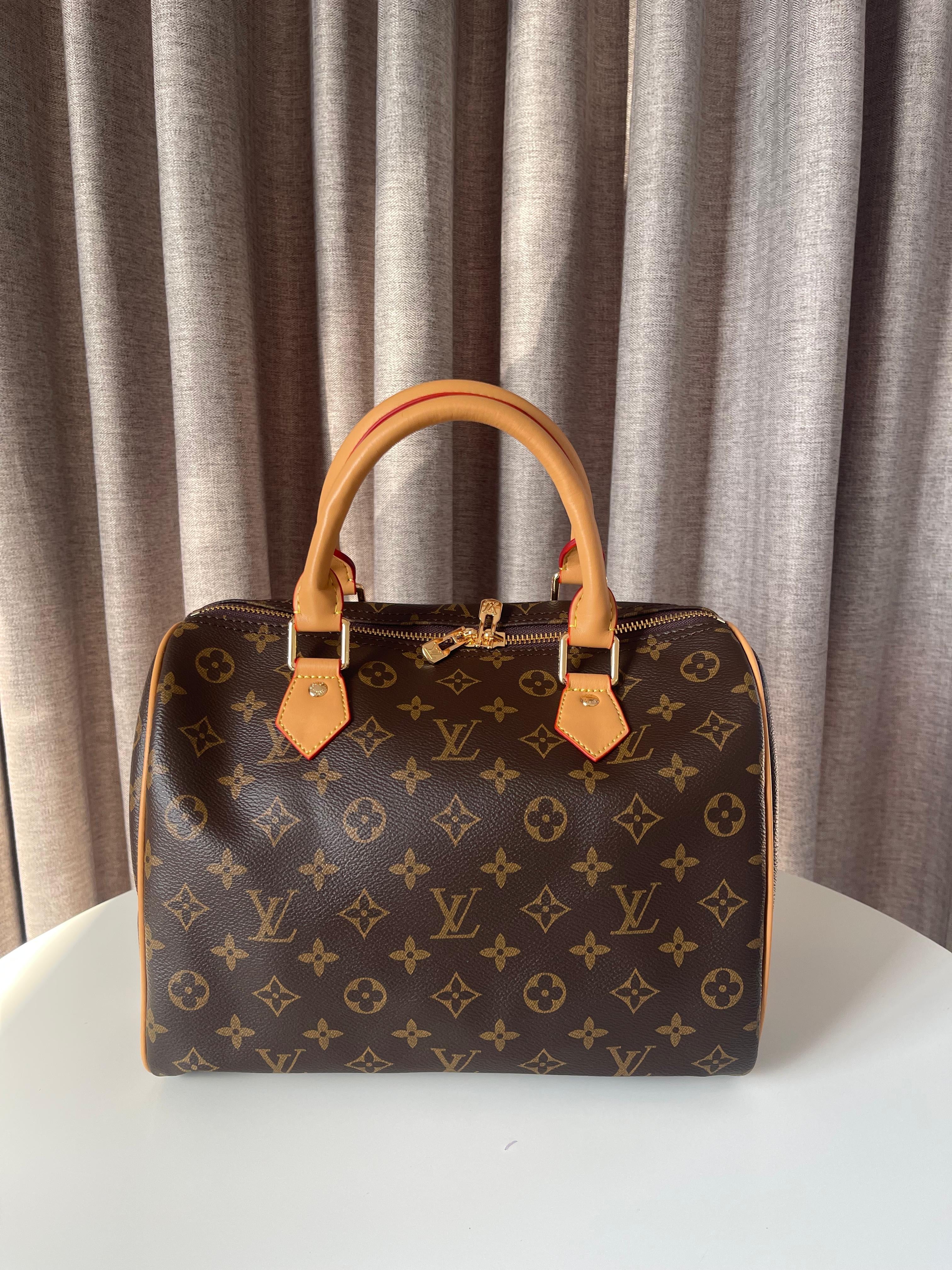Louis Vuitton Large Speedy bag