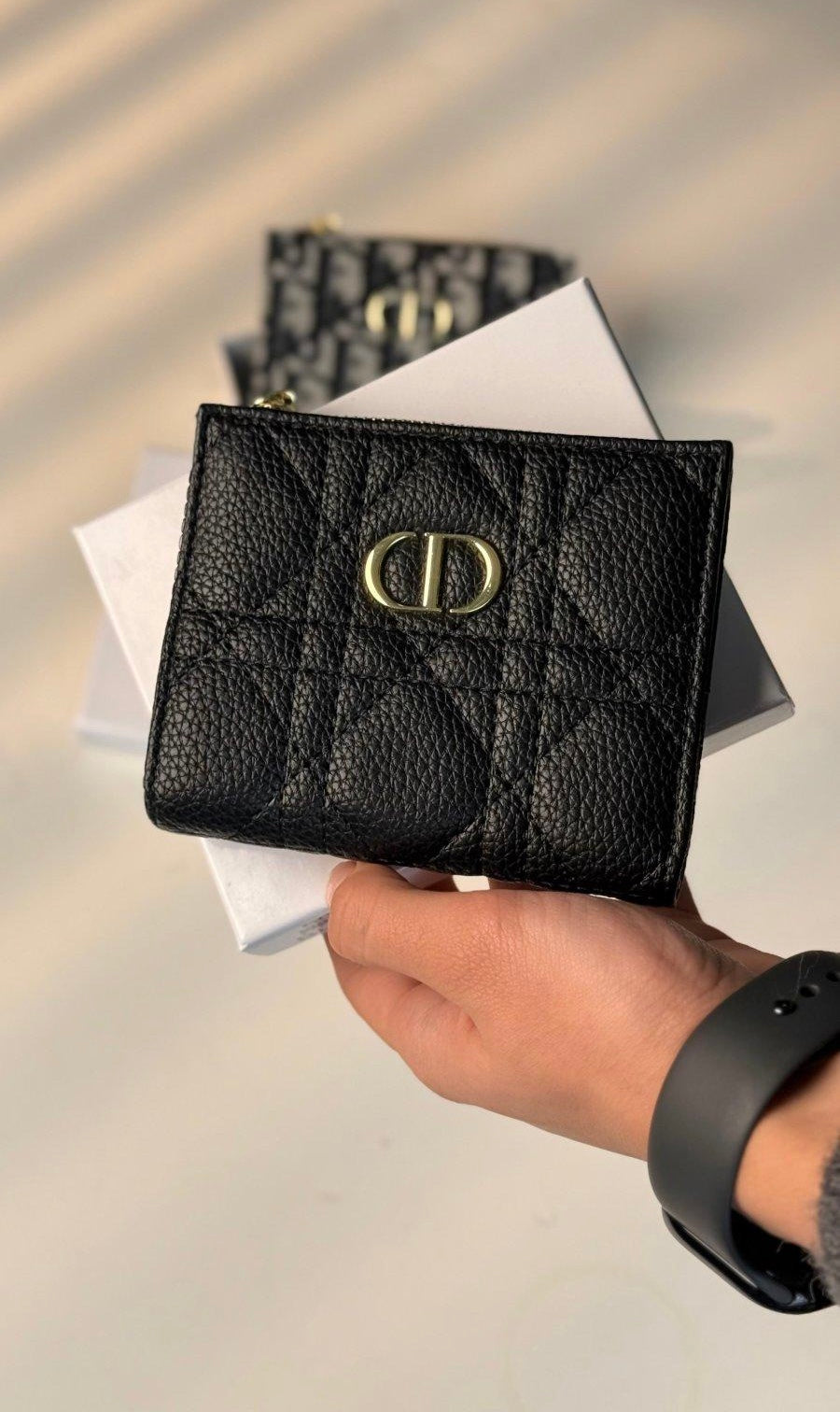 DIOR WALLET