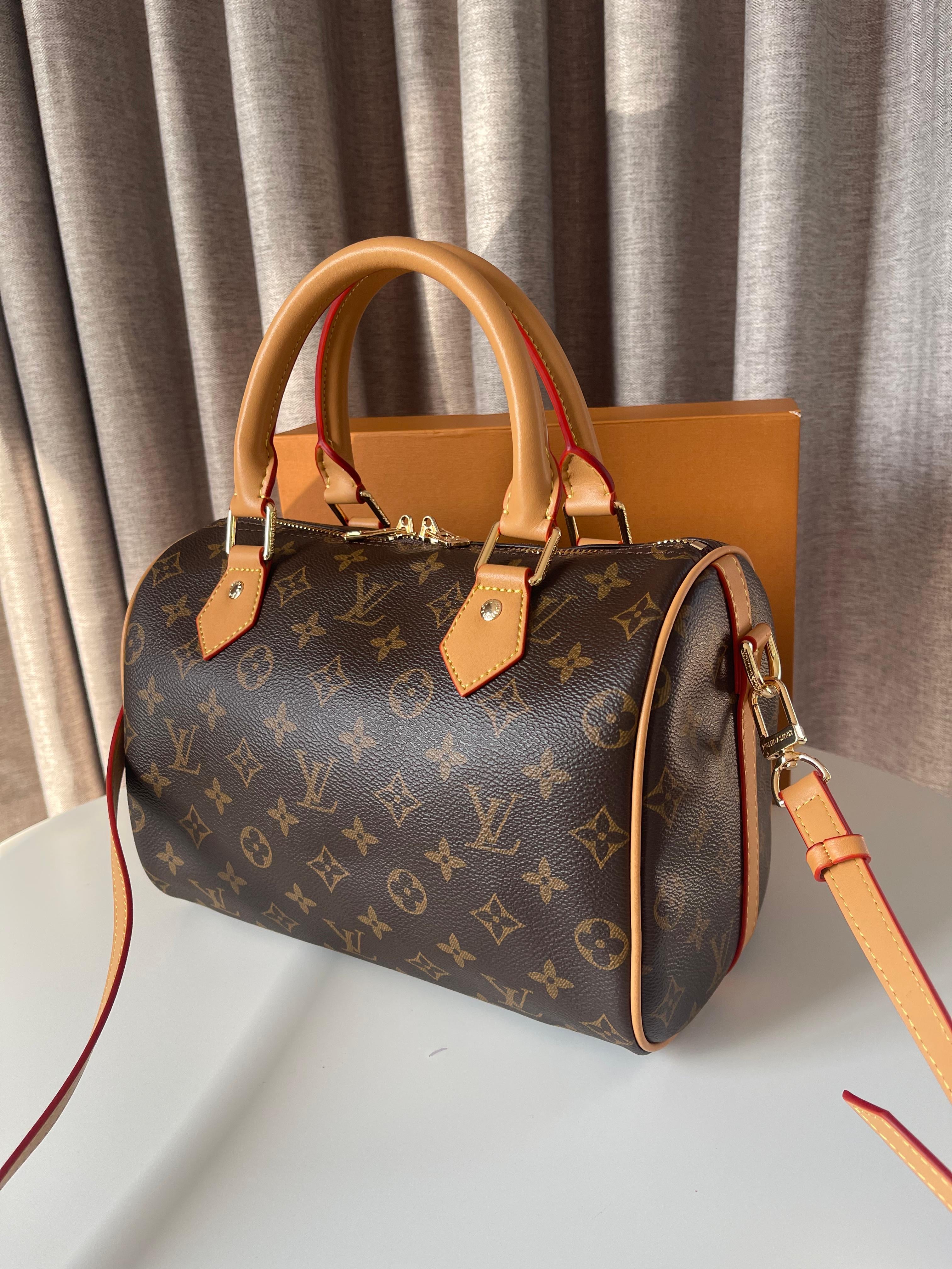 Louis Vuitton Medium Speedy bag