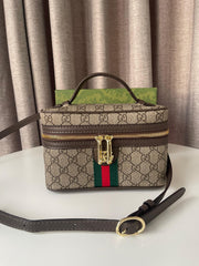 Gucci GG Ophidia Vanity bag