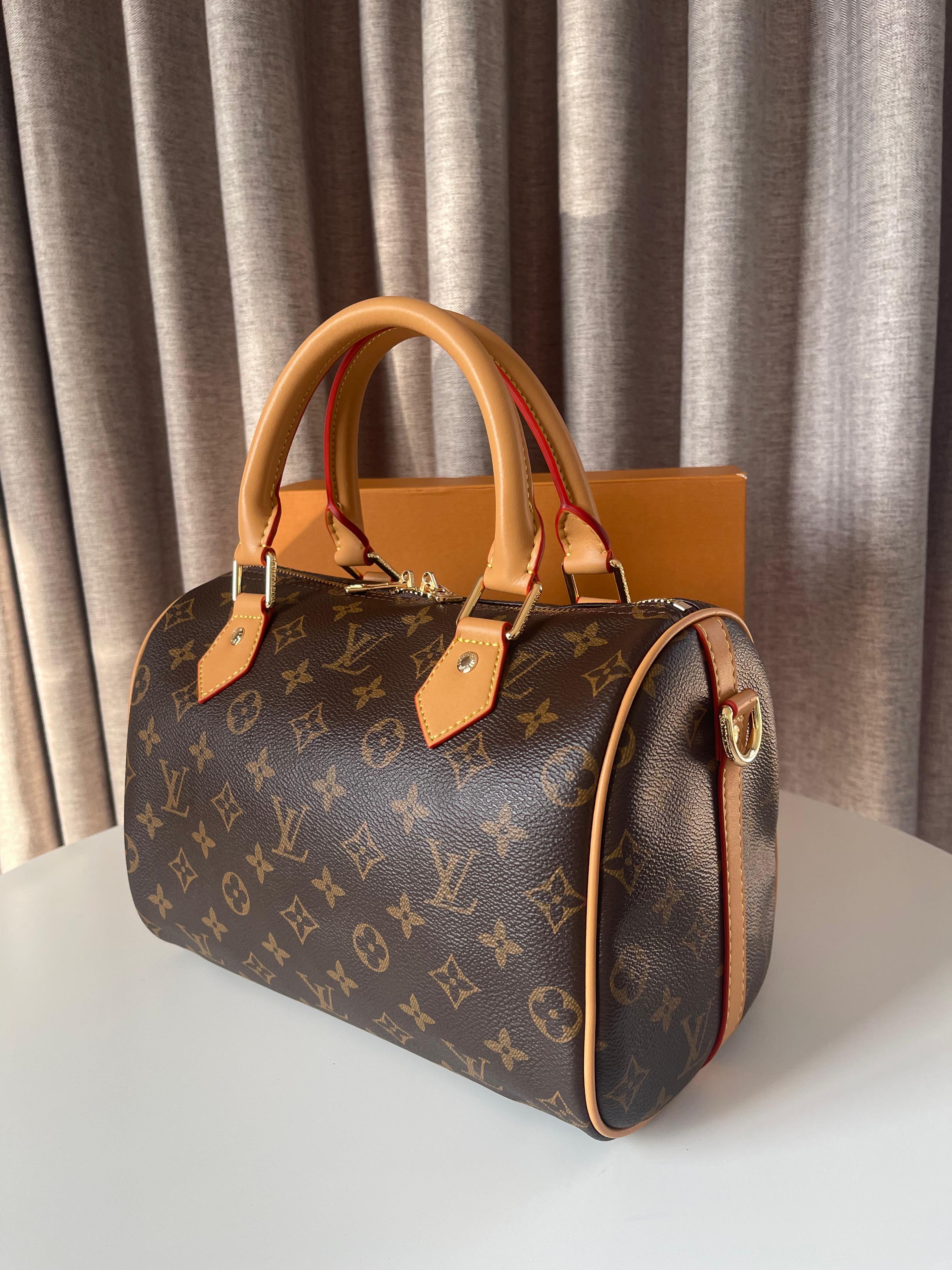 Louis Vuitton Medium Speedy bag