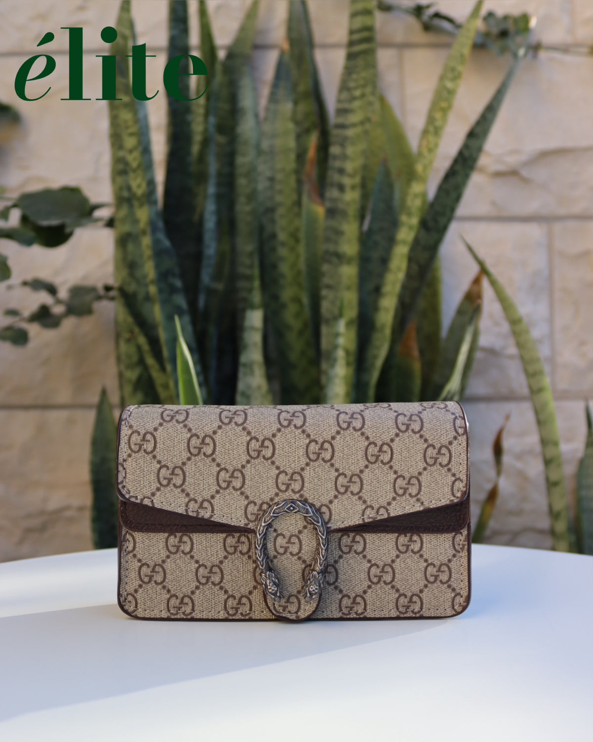Gucci Dionysus GG Super Mini bag