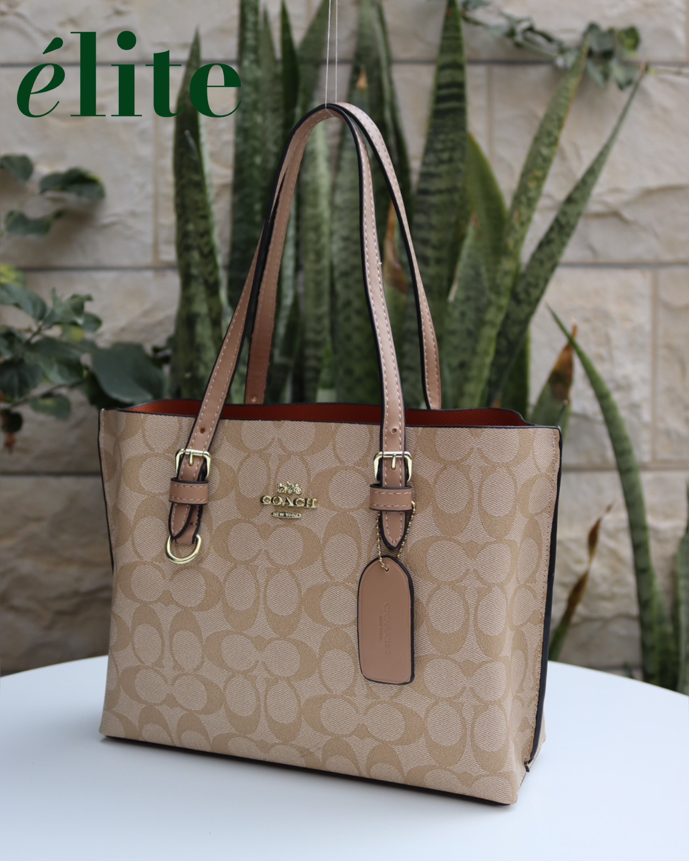 Coach Mollie Medium Totebag