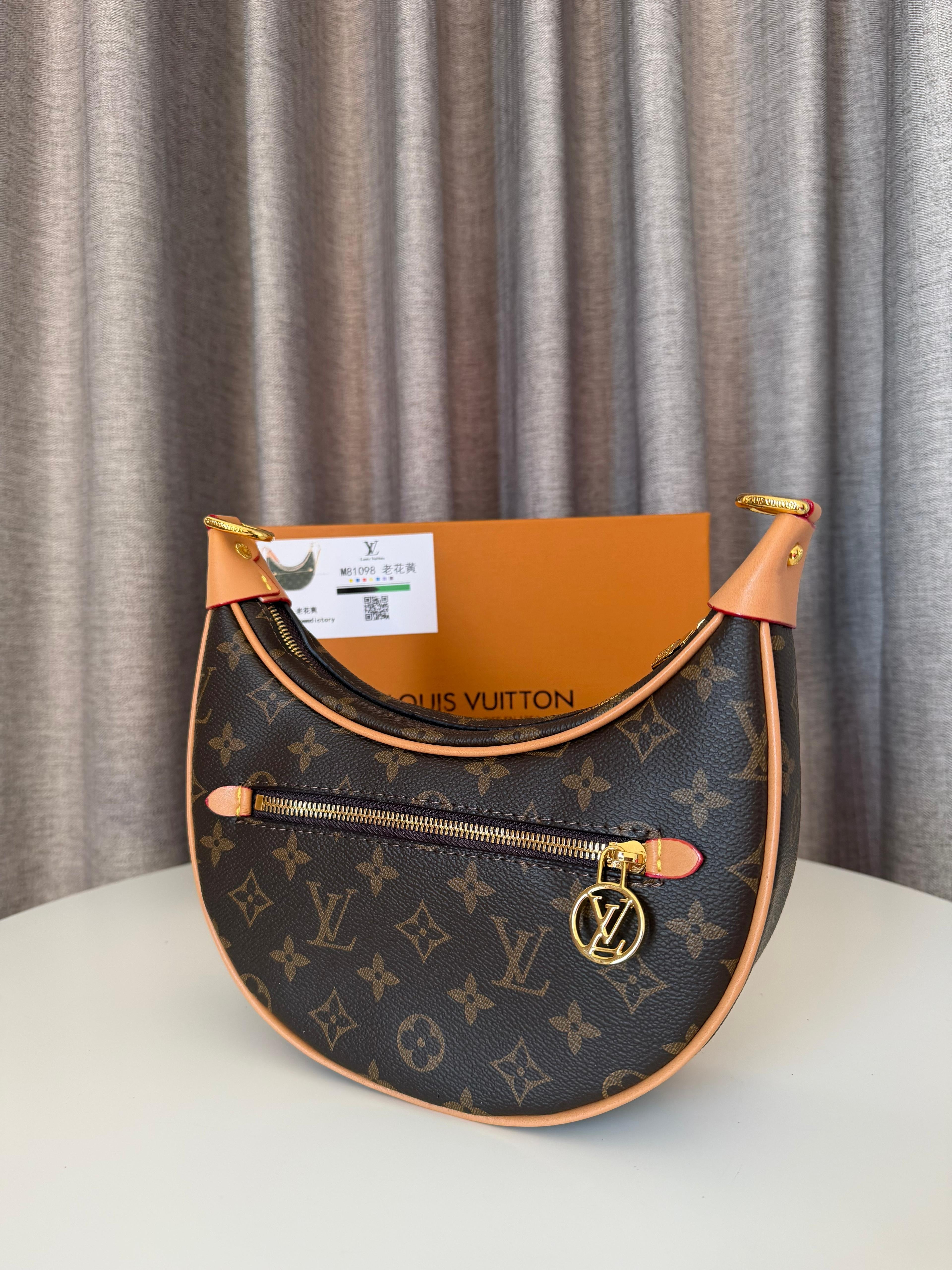 Louis Vuitton Medium Loop bag