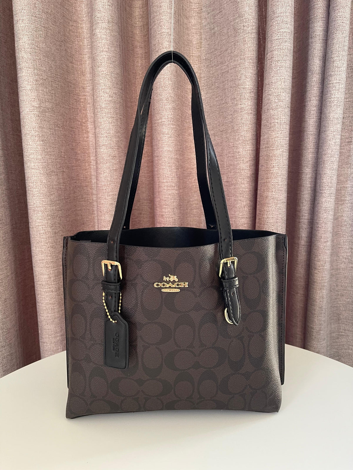 Coach Mollie Bucket Bag