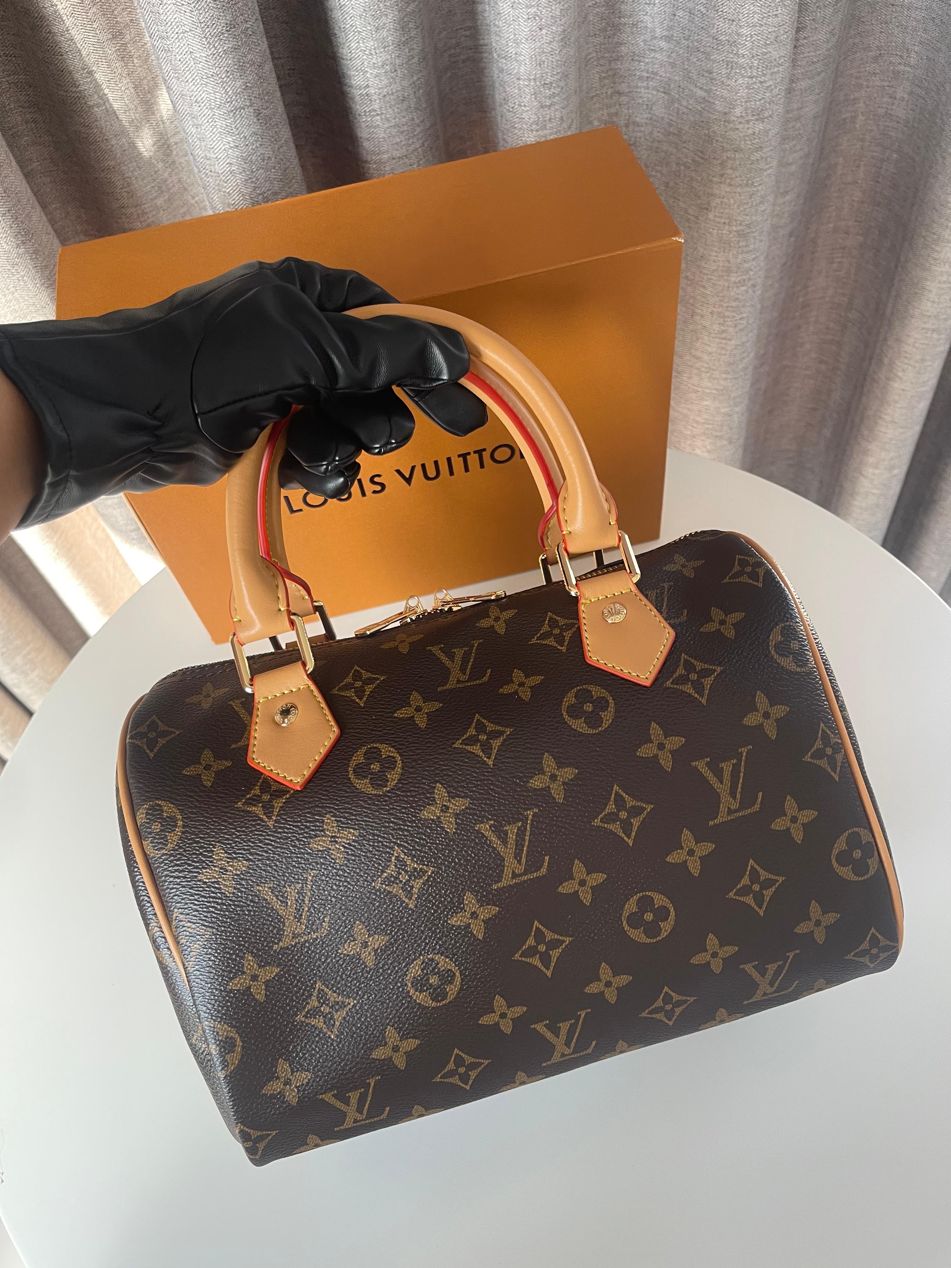 Louis Vuitton Speedy Medium bag