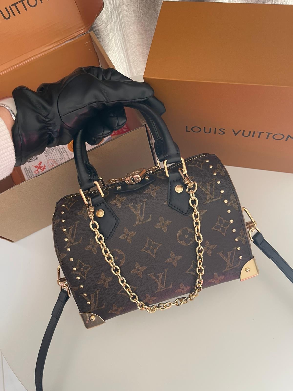 Louis Vuitton Speedy Trunk 20 bag