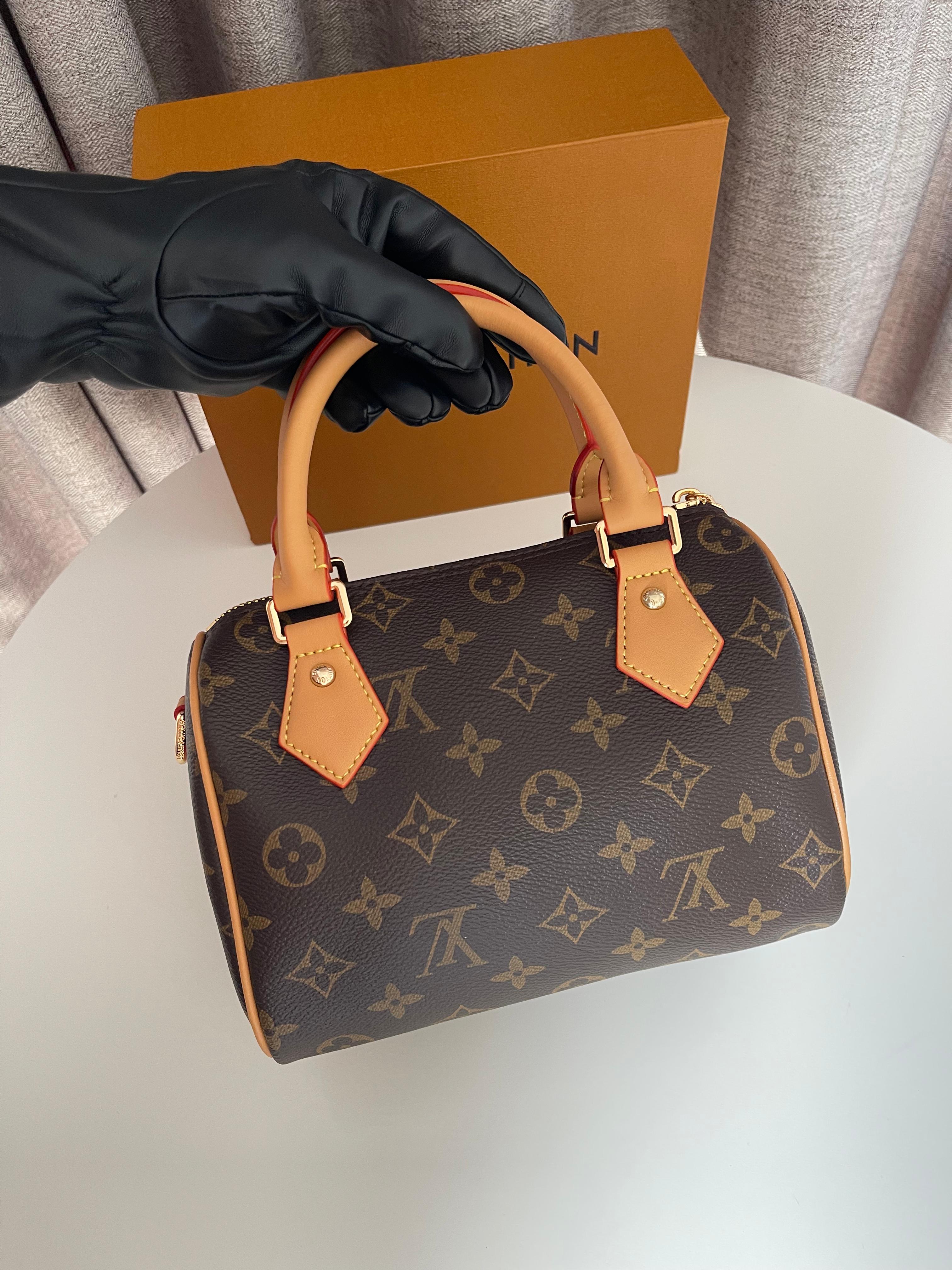 Louis Vuitton Speedy Small bag