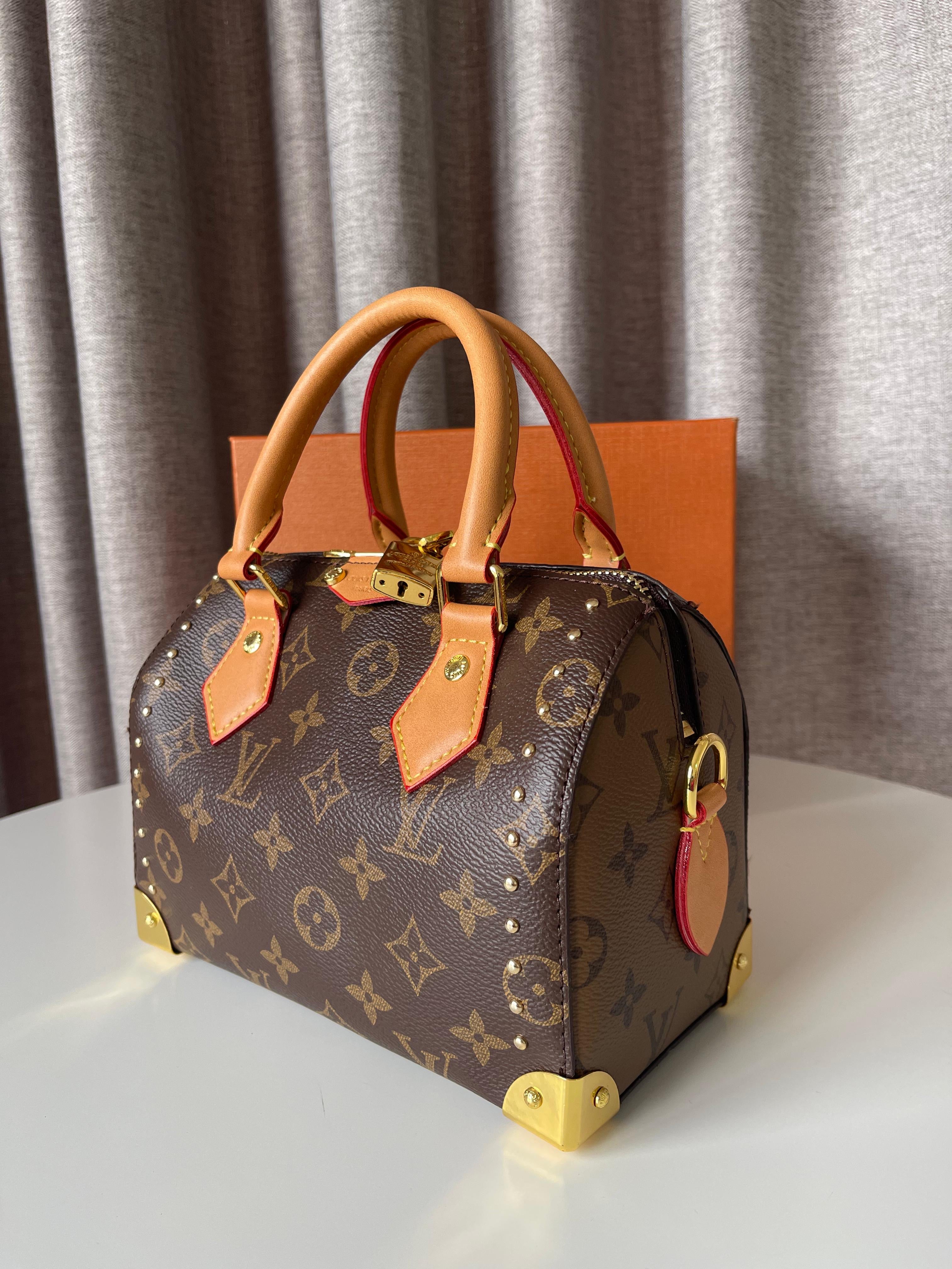 Louis Vuitton Speedy Bandoulière 20 bag