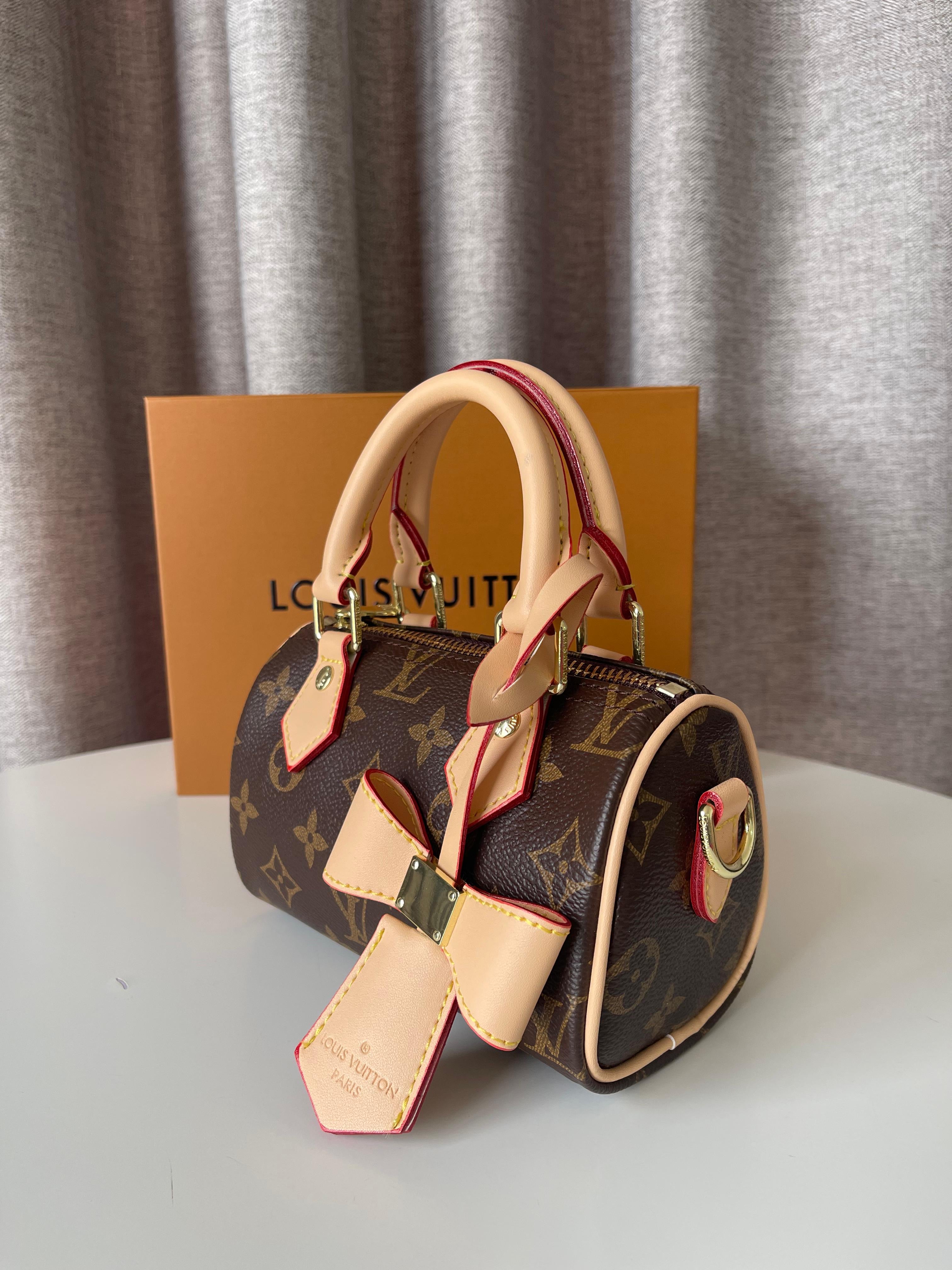 Louis Vuitton Small Speedy bag