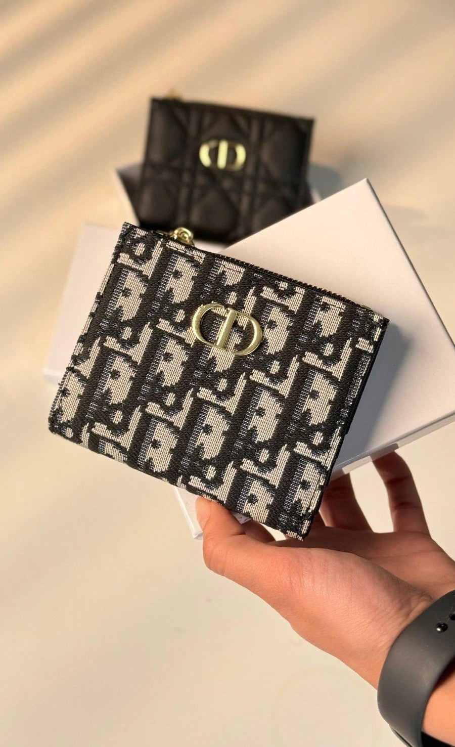 DIOR WALLET