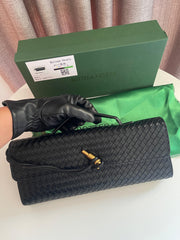 Bottega Veneta Andiamo Clutch