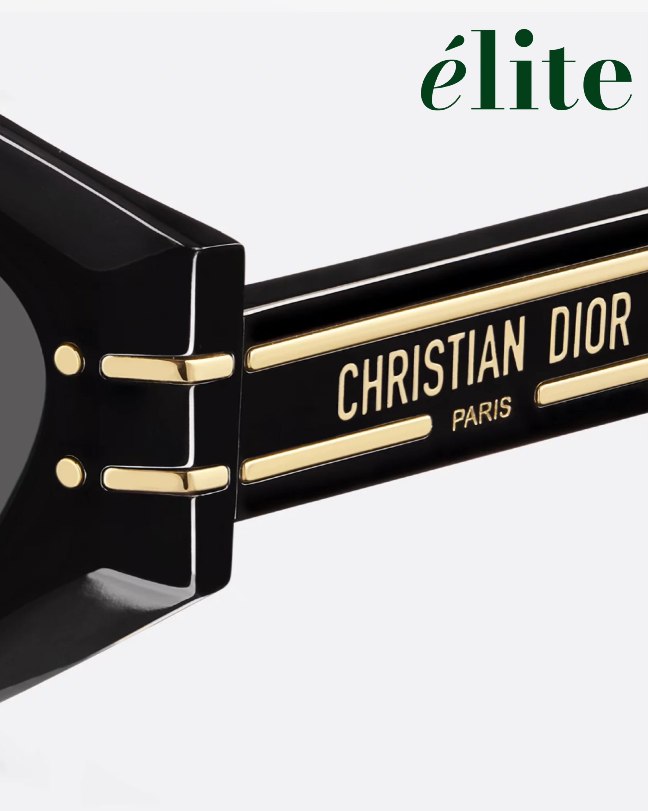 Dior Signature Black Butterfly Sunglasses