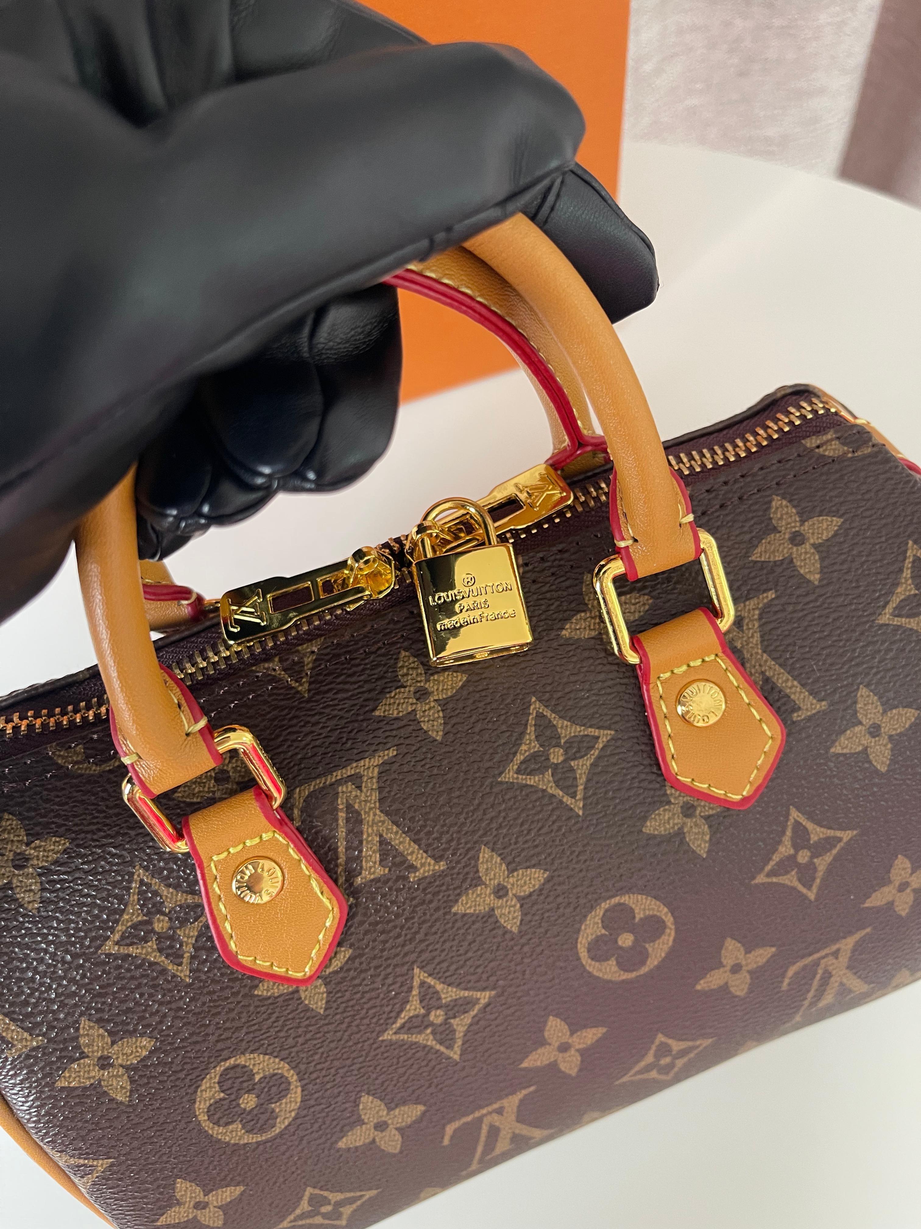 Louis Vuitton Medium Speedy bag