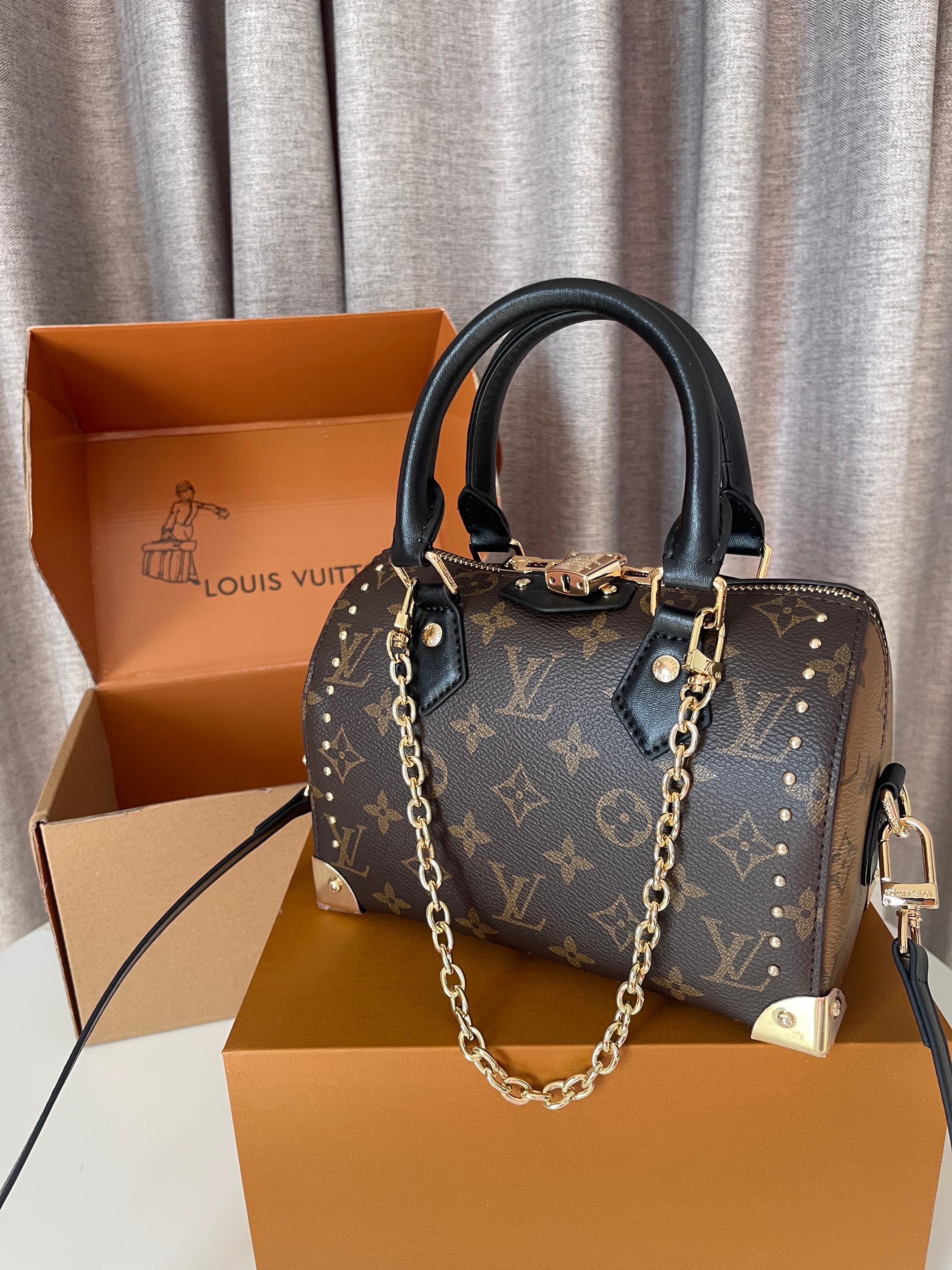 Louis Vuitton Speedy Trunk 20 bag