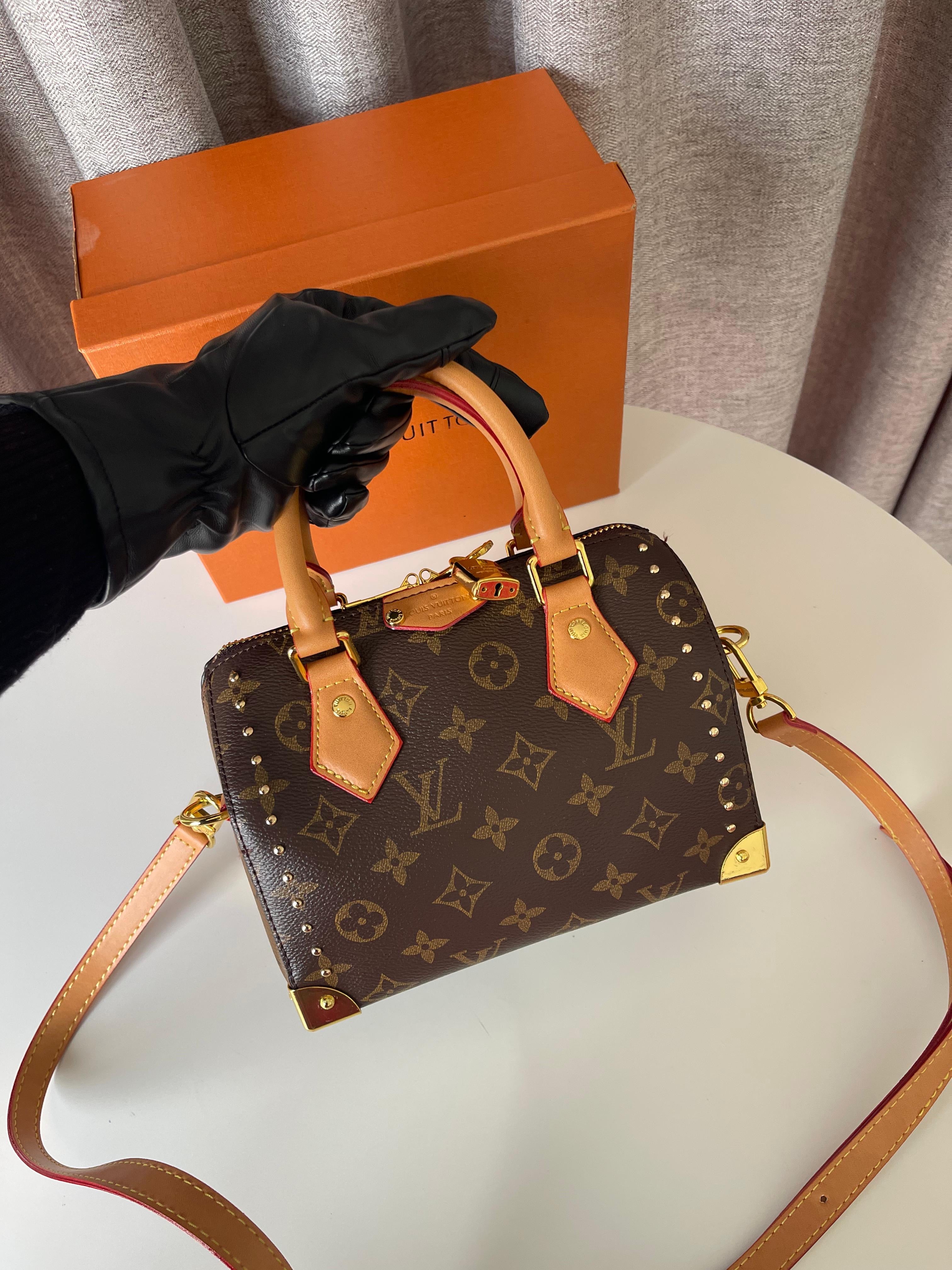 Louis Vuitton Speedy Bandoulière 20 bag