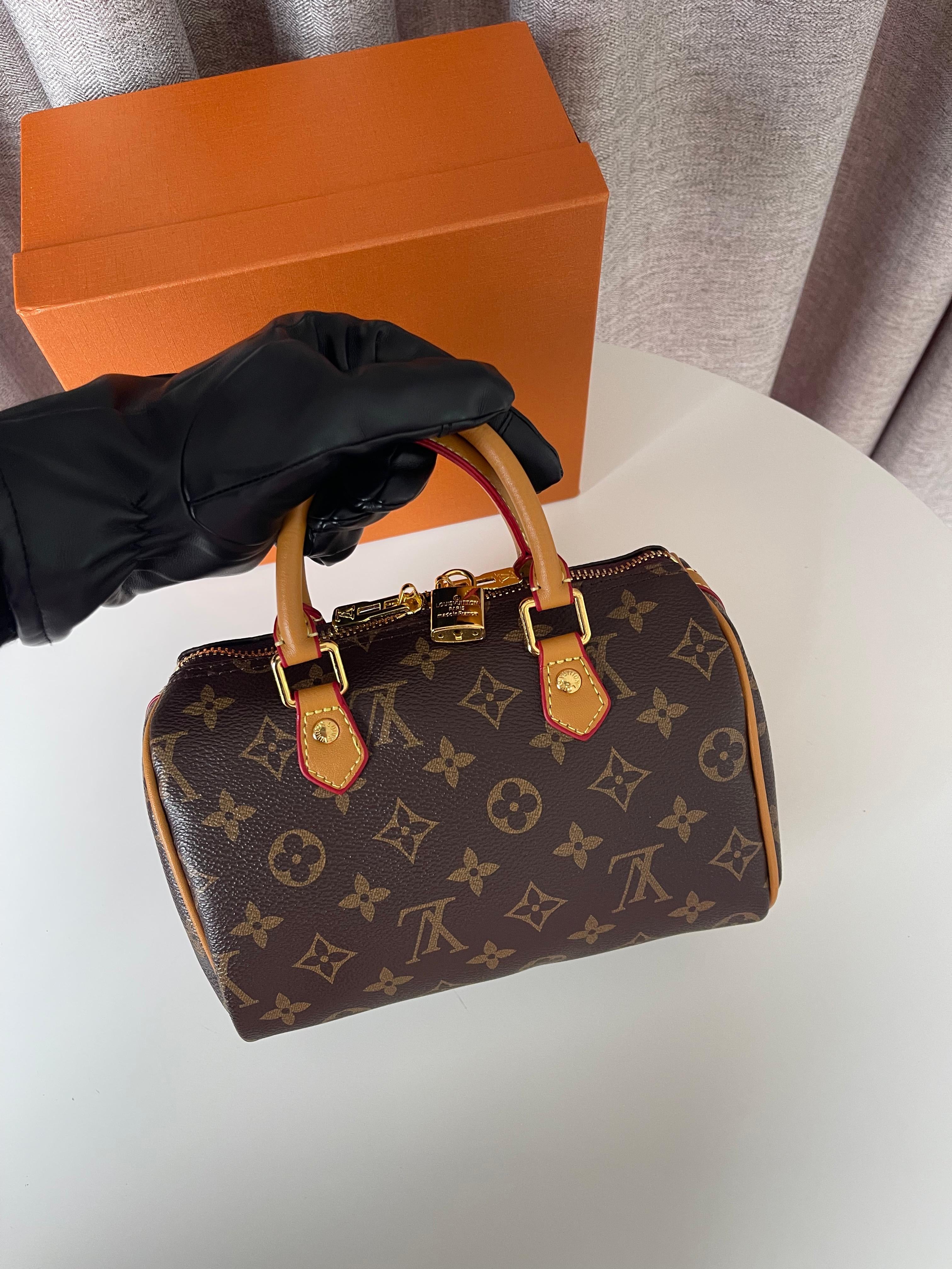 Louis Vuitton Medium Speedy bag