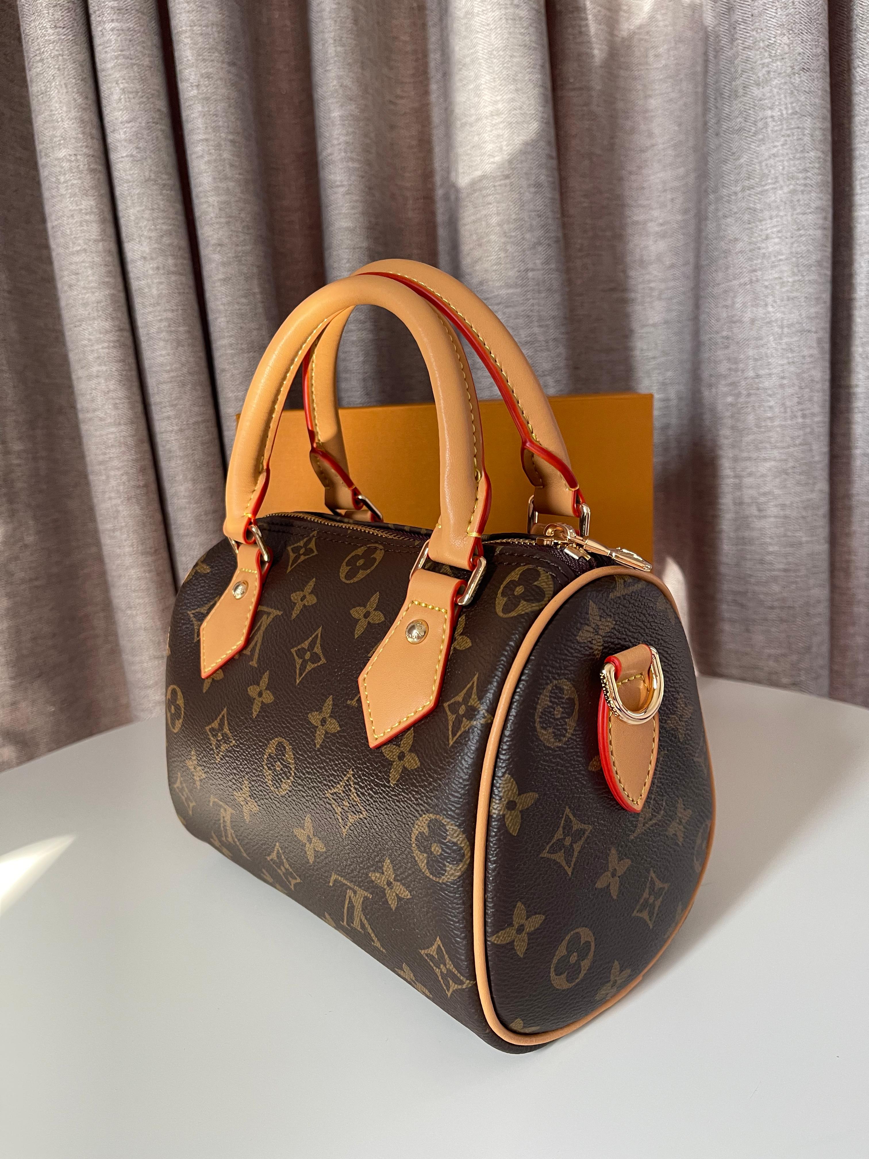 Louis Vuitton Speedy Small bag