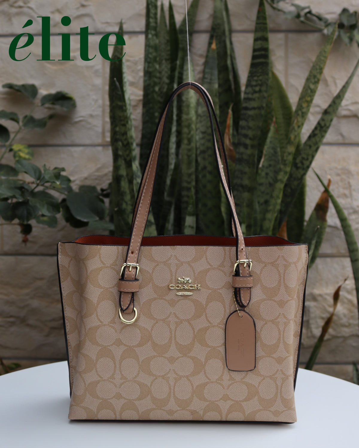 Coach Mollie Medium Totebag