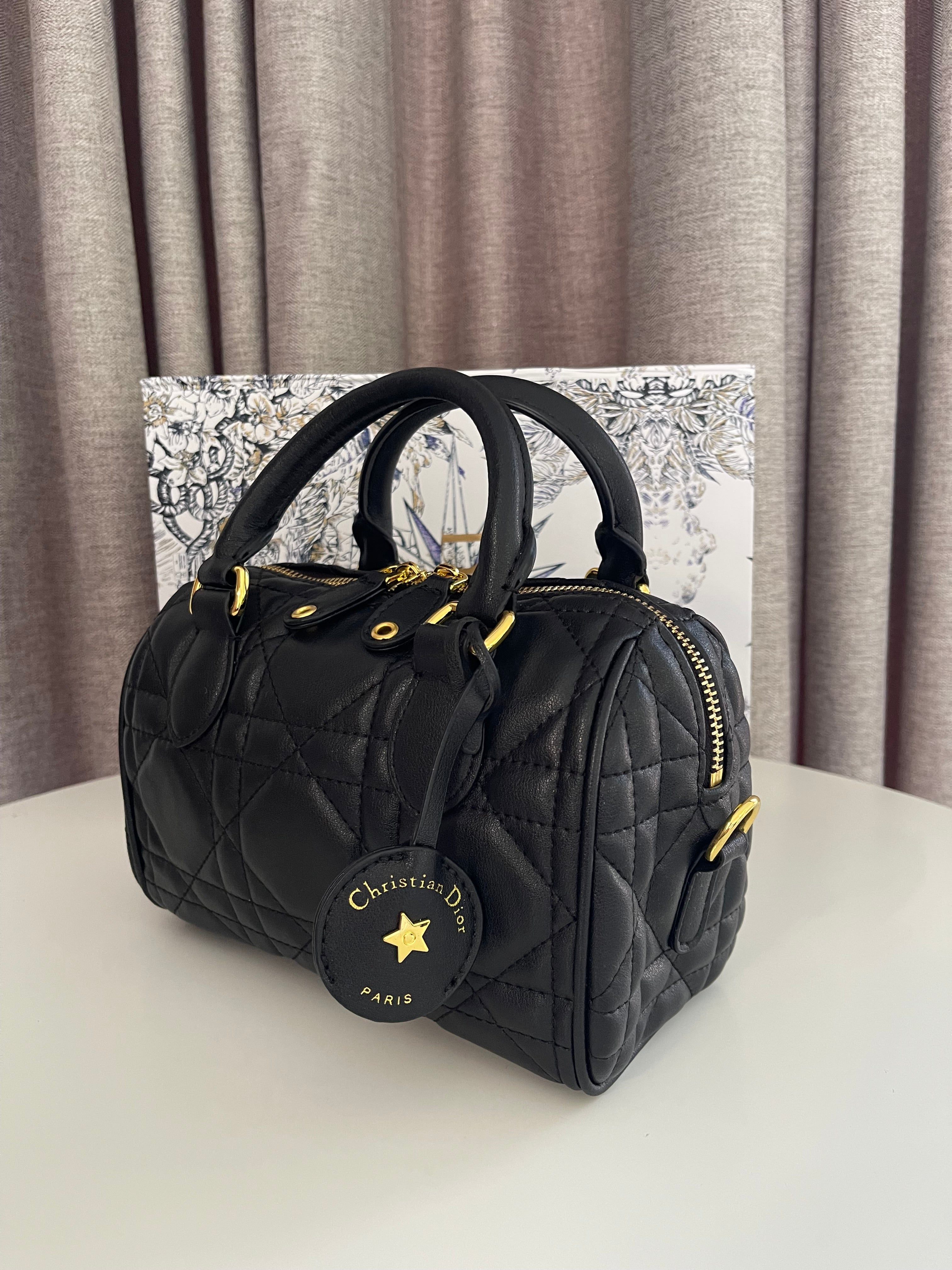 Dior Top-handle bag