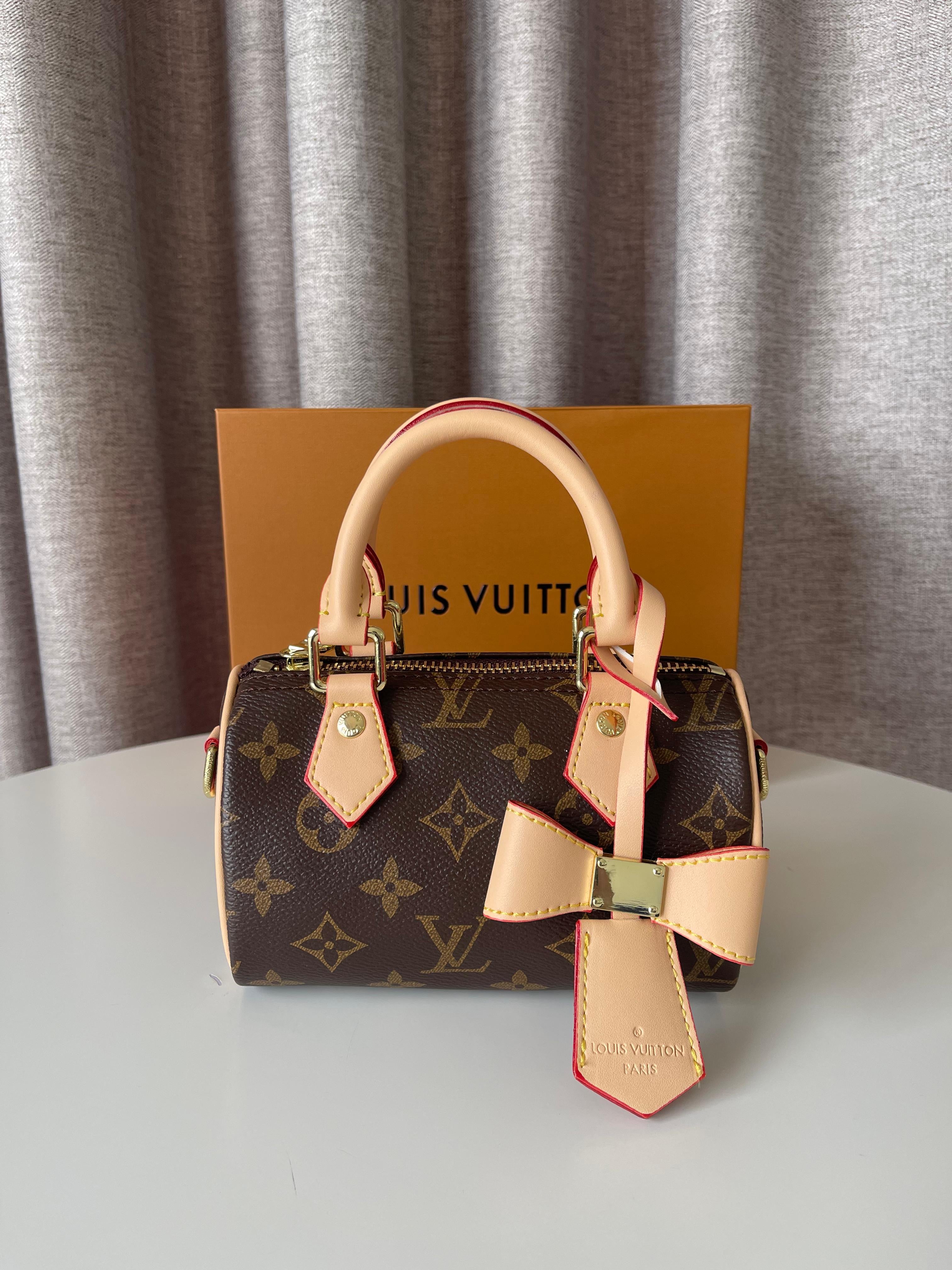 Louis Vuitton Small Speedy bag