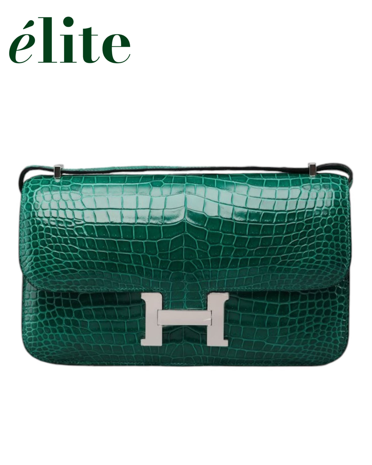 Hermès Constance Elan bag