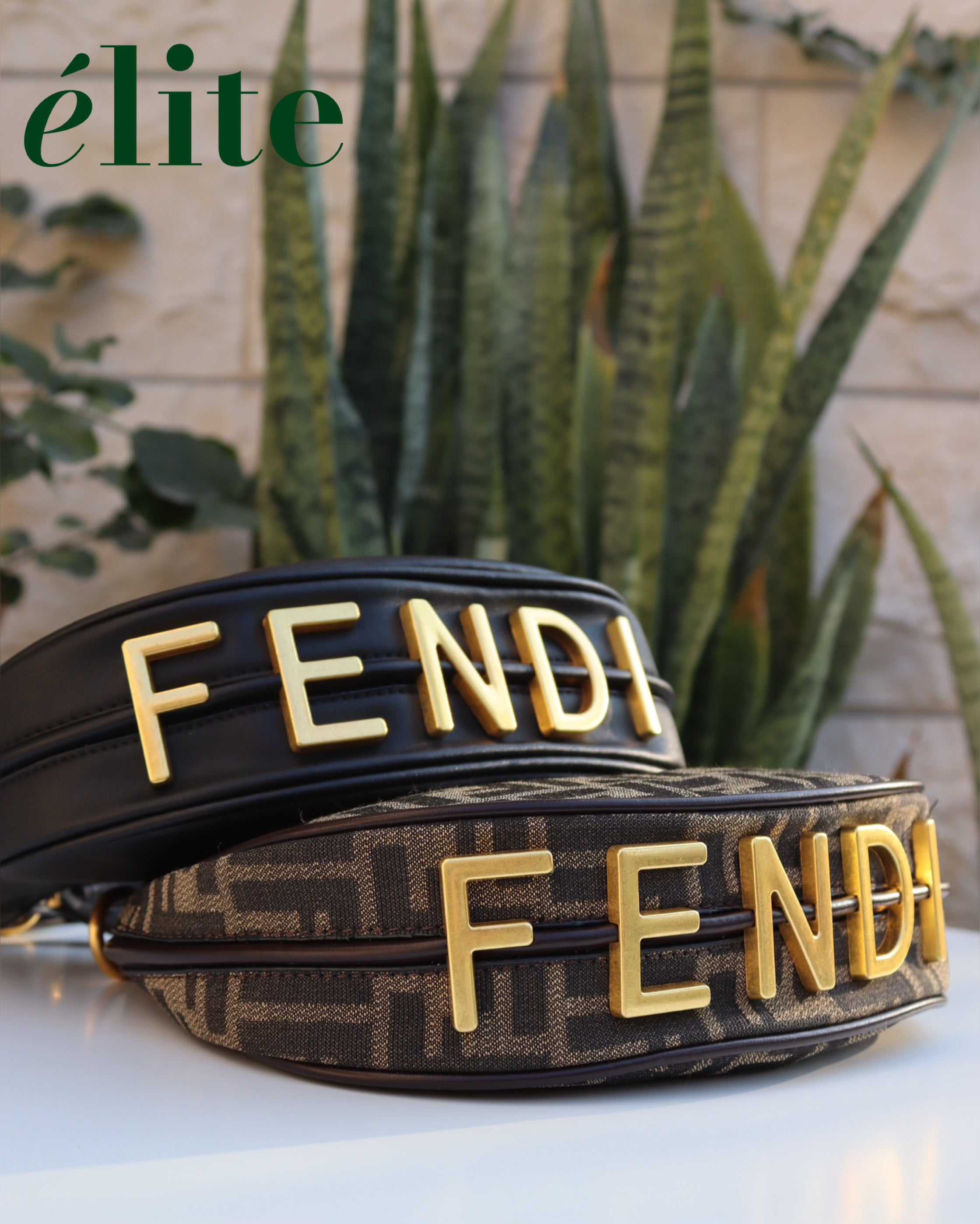 Fendi Fendigraphy bag