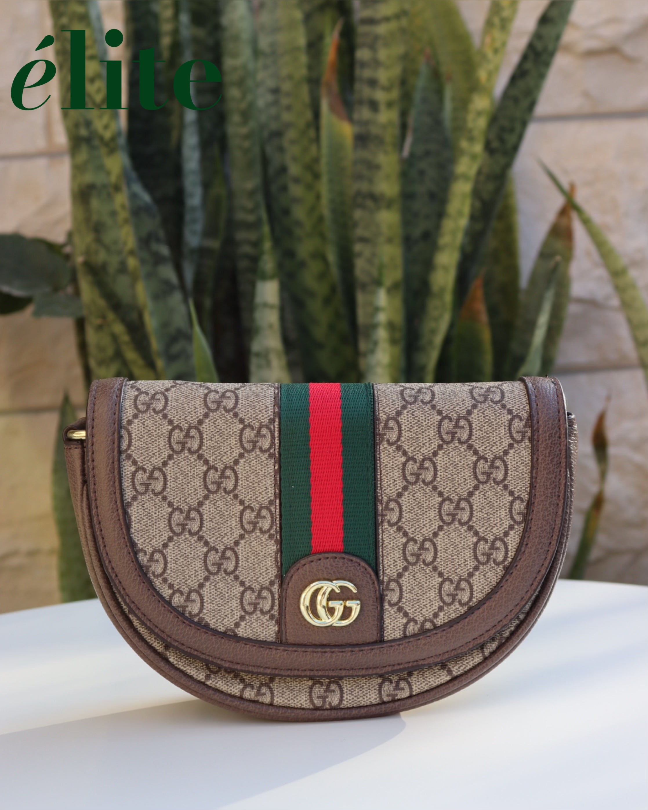 Gucci GG Ophidia Crossbody bag
