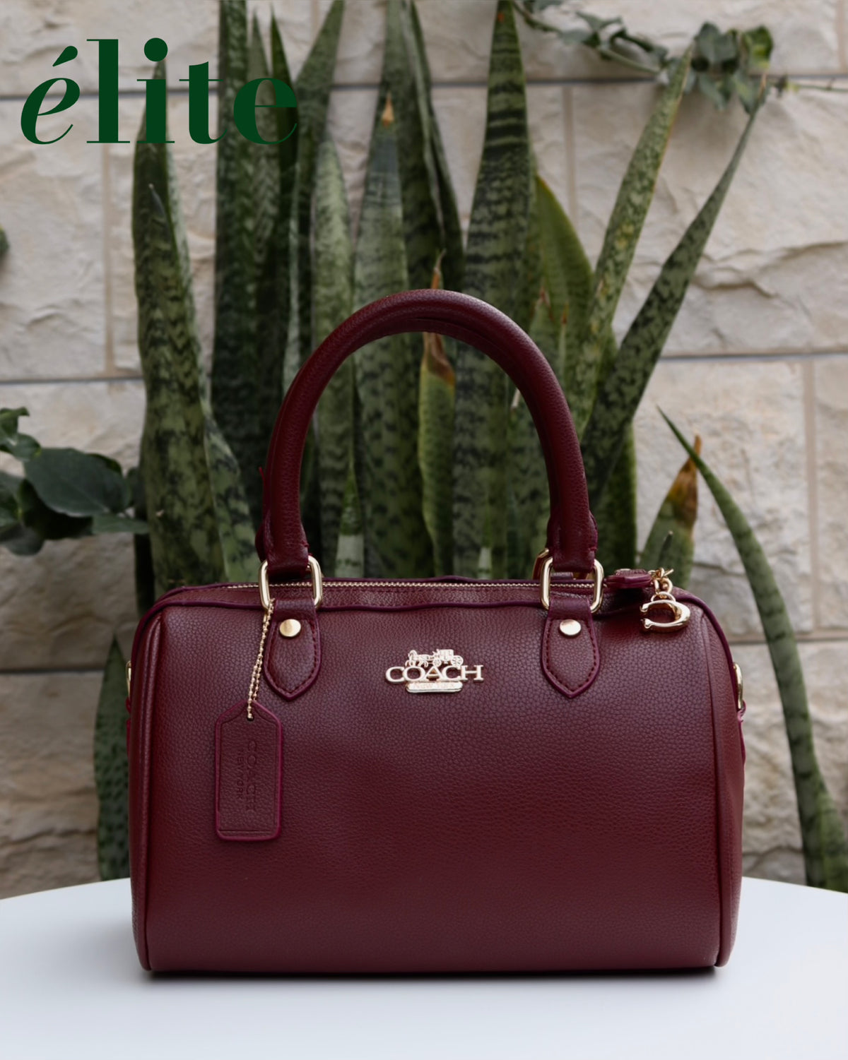 Coach Top-handle bag